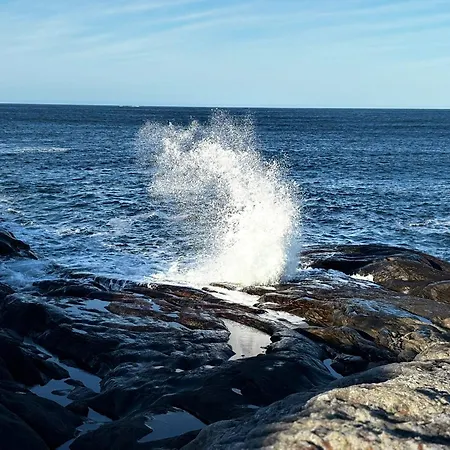 Feriehus Unik Og Moderne Med Utsikt Mot Havet *