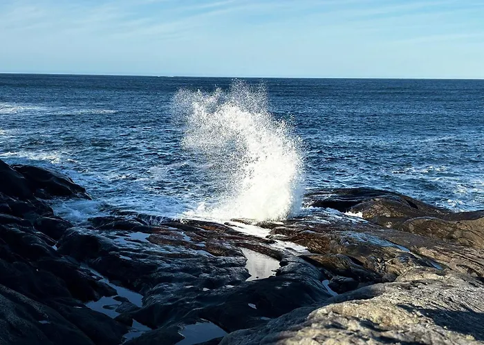 Tatil Evi Unik Og Moderne Microhytte Med Utsikt Mot Havet 40 A Otterlei *