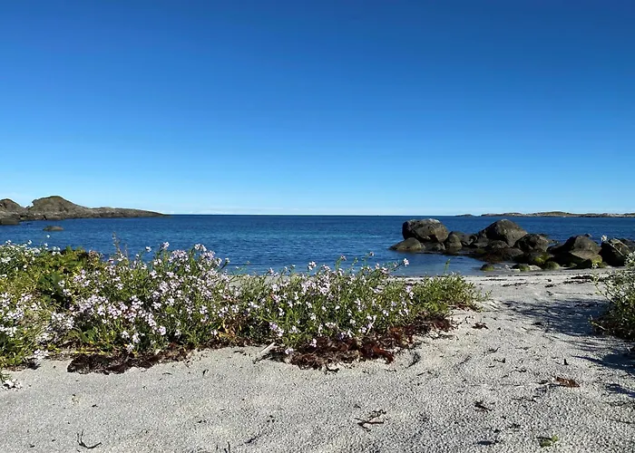 Tatil Evi Unik Og Moderne Microhytte Med Utsikt Mot Havet 40 A Otterlei