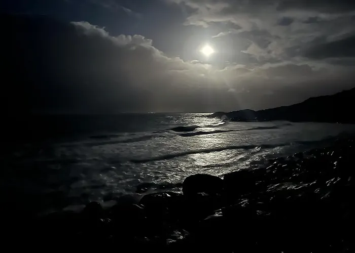 Semesterbostad Unik Og Moderne Microhytte Med Utsikt Mot Havet 40 A Otterlei